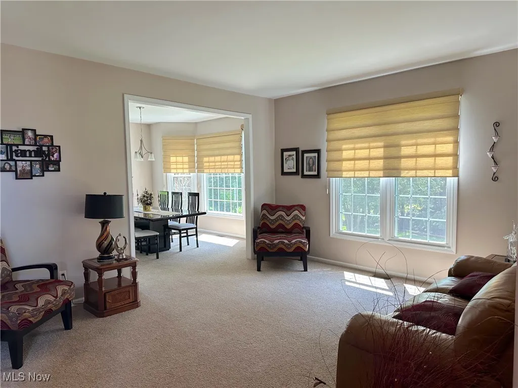 Carpeted living room