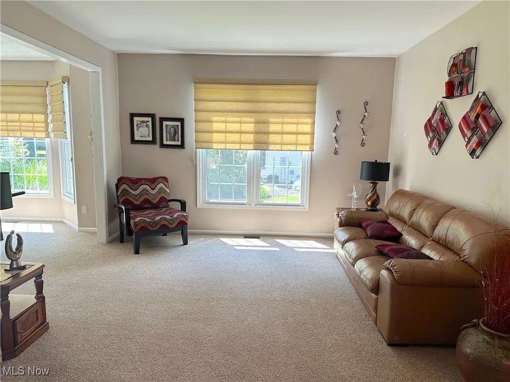 Carpeted living room