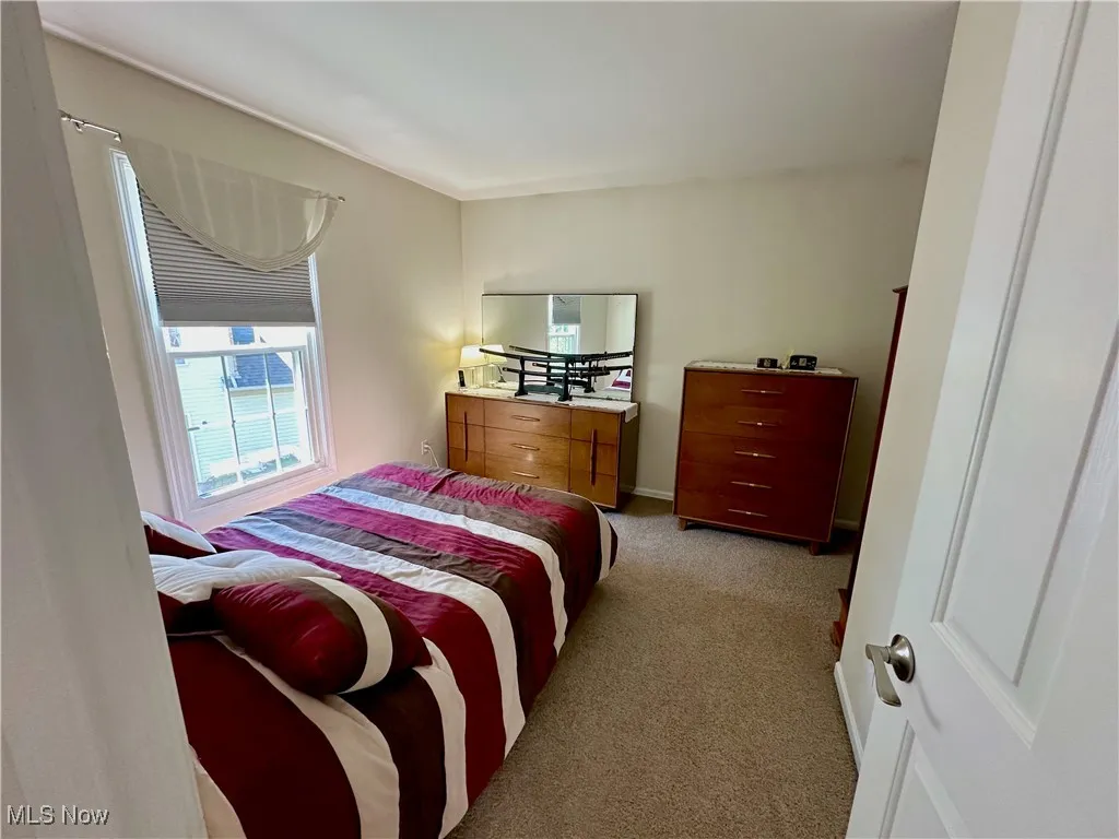 Bedroom with light carpet