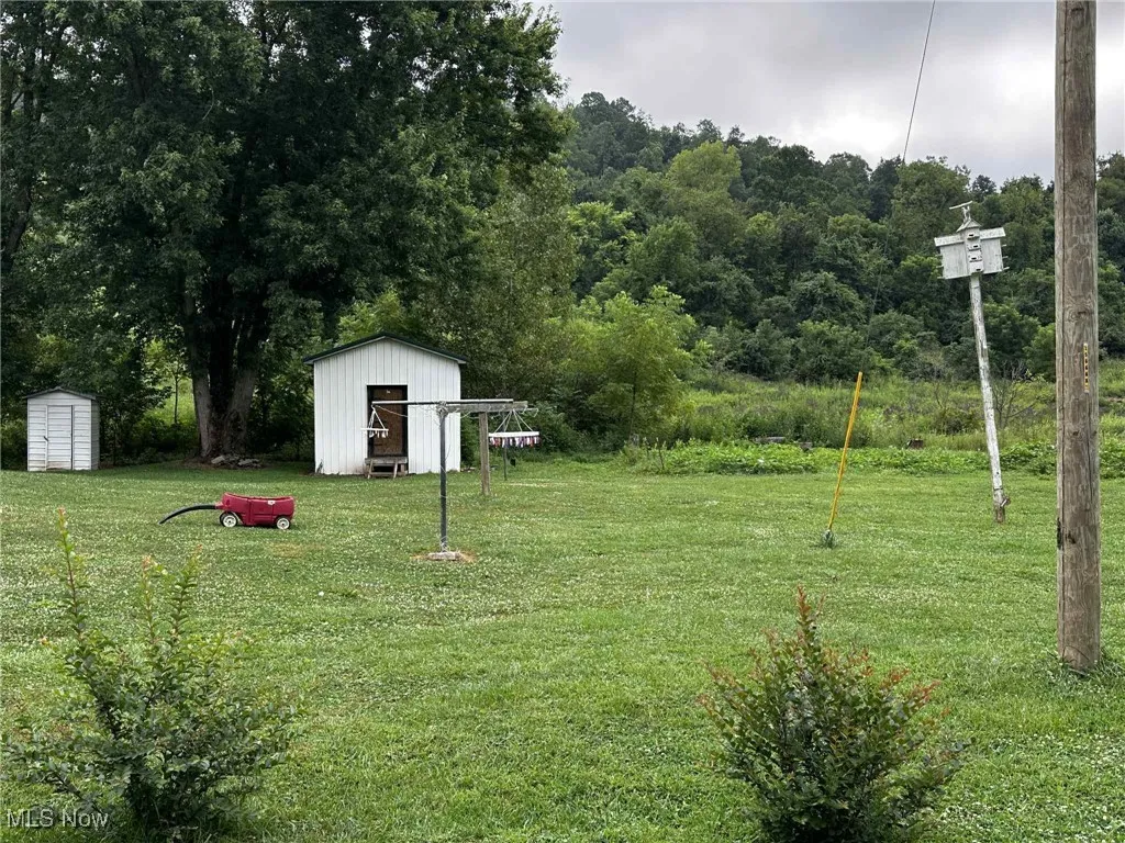 View of green lawn featuring a storage shed