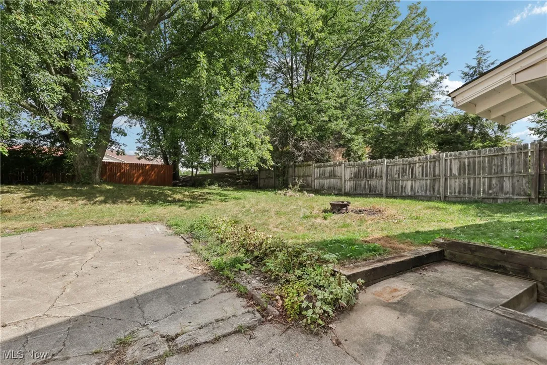 View of the backyard