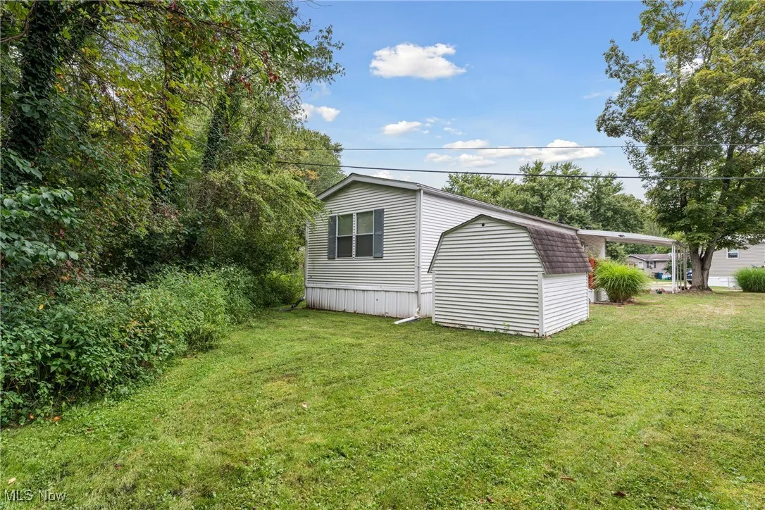 View of grassy yard