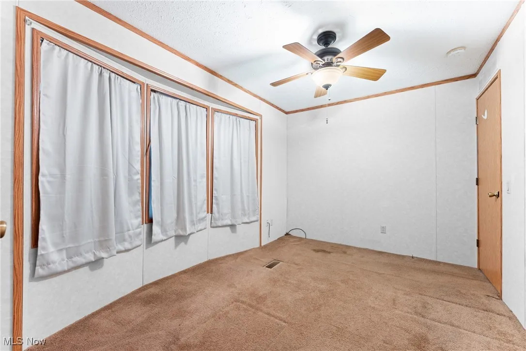 Carpeted spare room featuring crown molding, a ceiling fan, and a textured ceiling