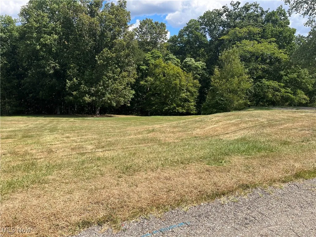 0 Linmar Avenue, Wintersville, Ohio 43953,MLS Now Listing ID