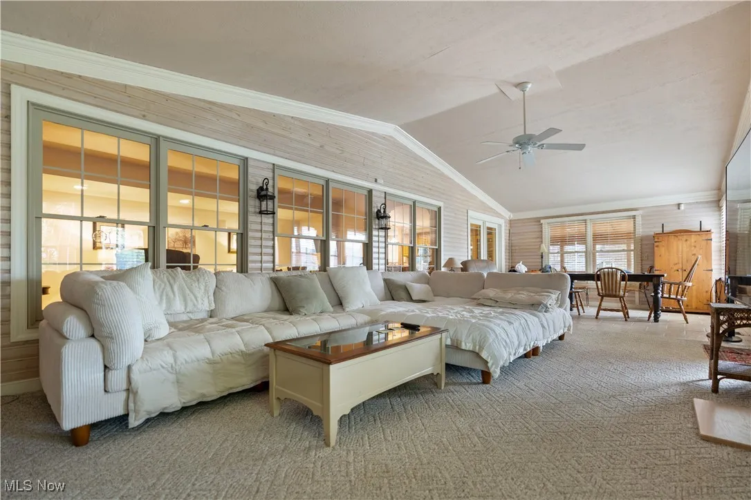 Living room featuring ceiling fan, carpet, lofted ceiling, and ornamental molding