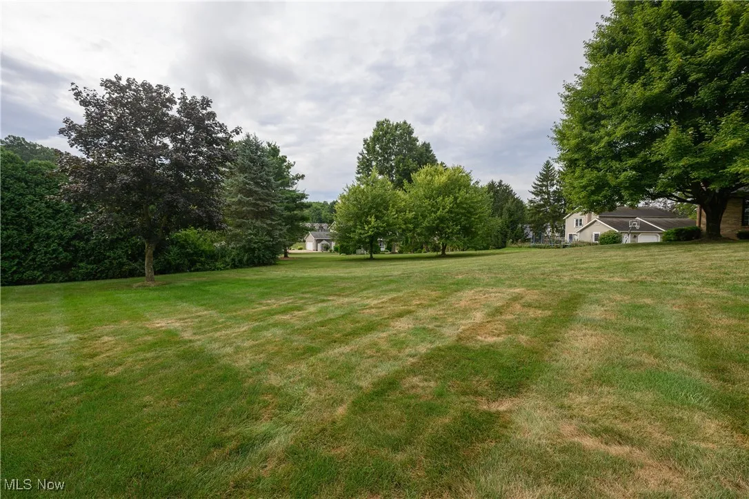 View of green lawn featuring view of wooded area
