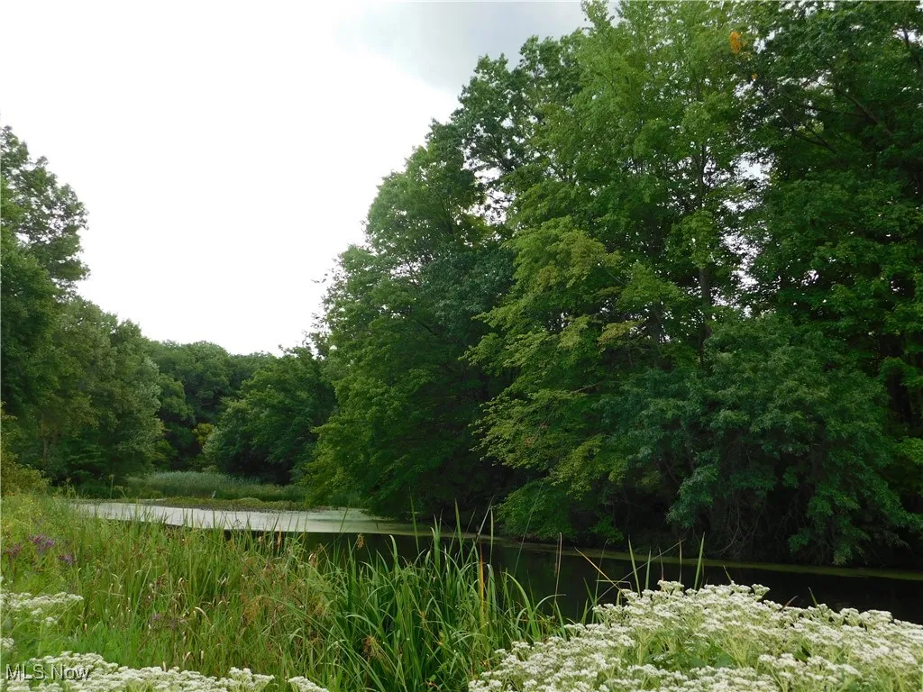 1088 Irish Road, Kent, Ohio 44240,MLS Now Listing ID