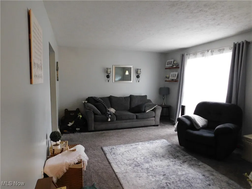 1088 Irish Road, Kent, Ohio 44240,MLS Now Listing ID