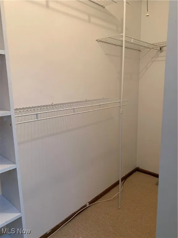 Spacious closet featuring light carpet