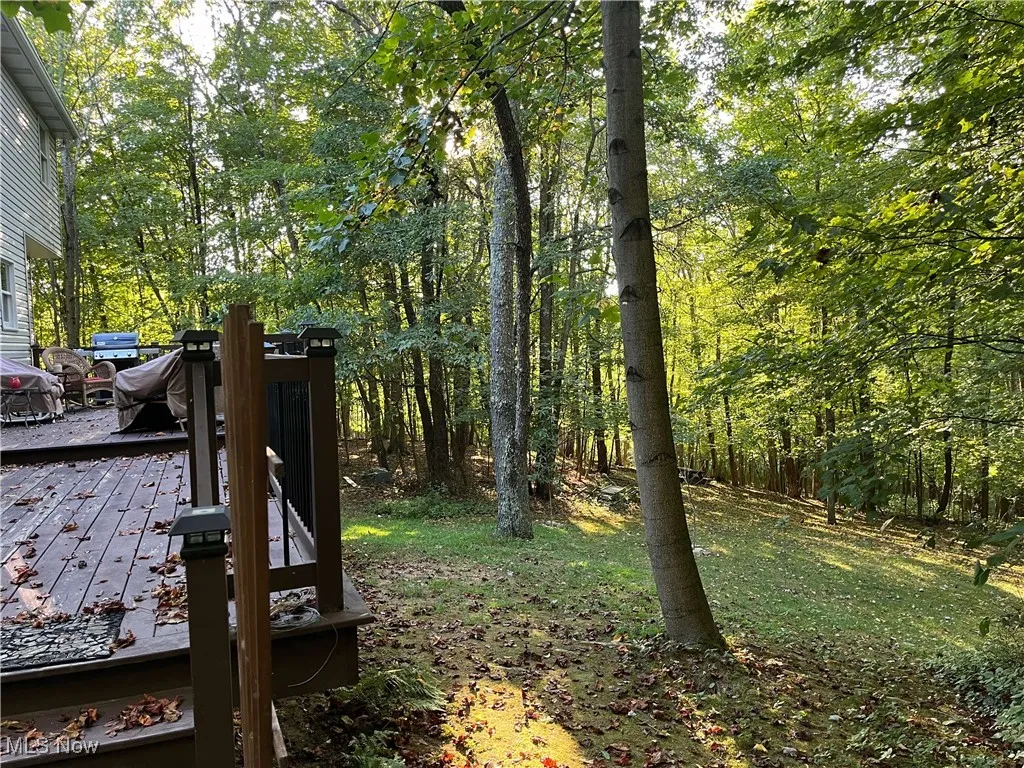 View of yard featuring a wooden deck