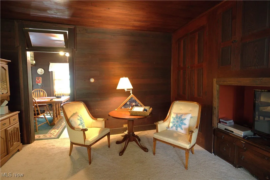 Living area featuring wooden ceiling, light carpet, and wooden walls