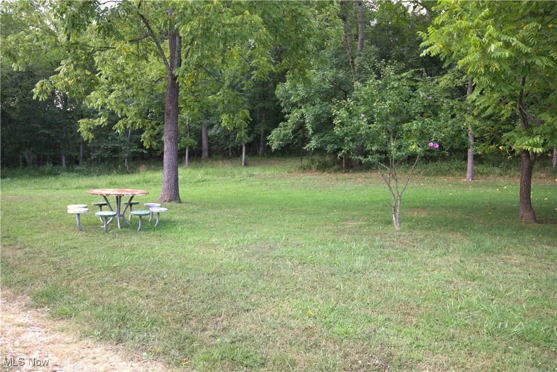 View of grassy yard with picnic table