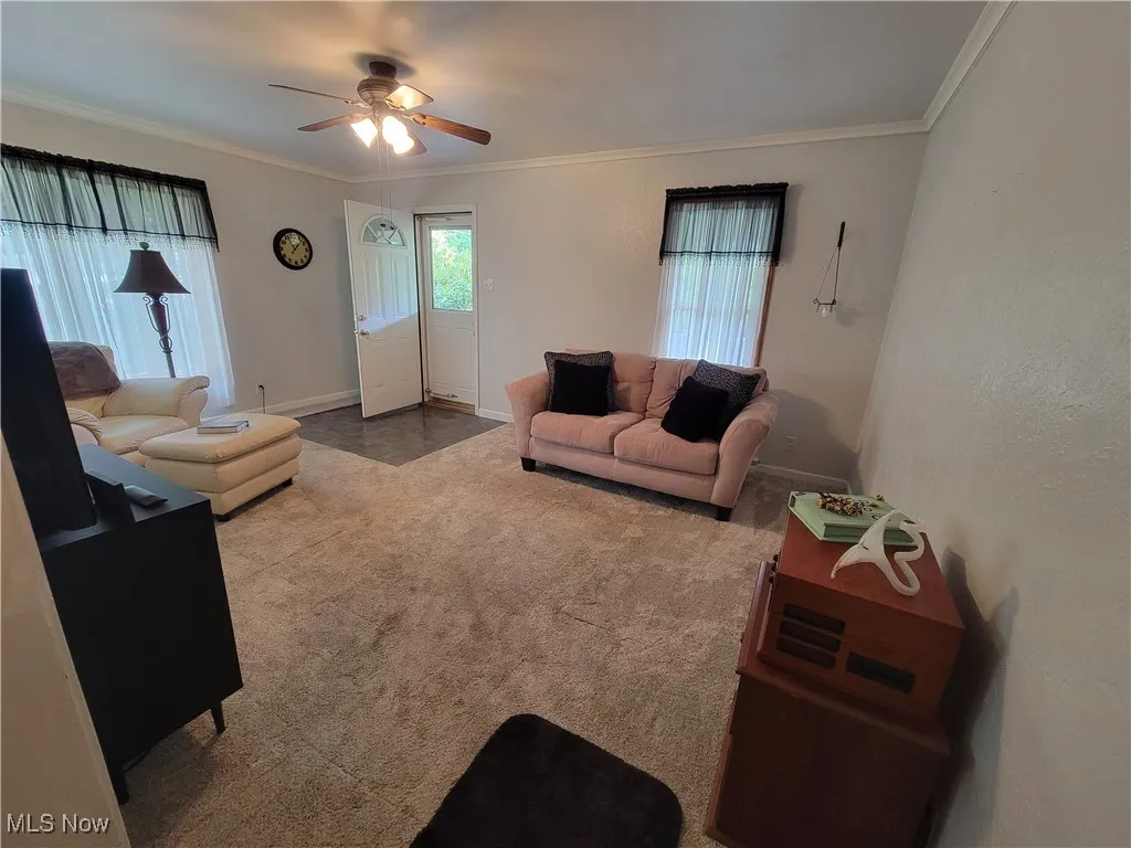 Carpeted living room featuring crown molding and a ceiling fan