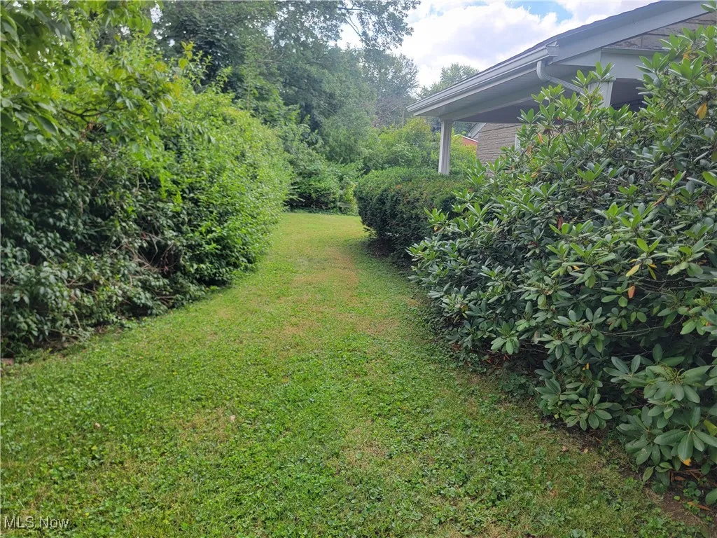 View of grassy yard