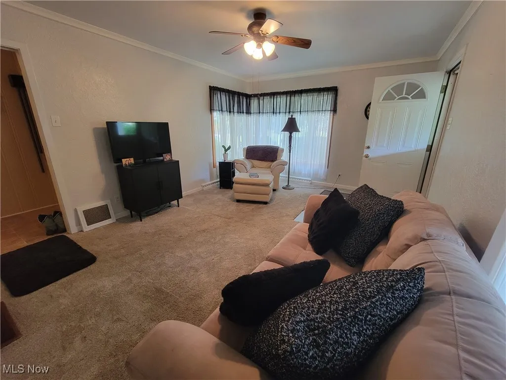 Carpeted living room featuring crown molding and a ceiling fan