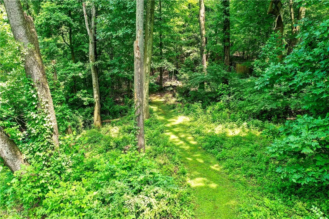 View of woods