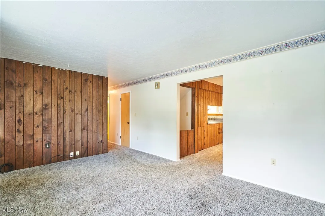 Unfurnished room with wood walls and carpet flooring