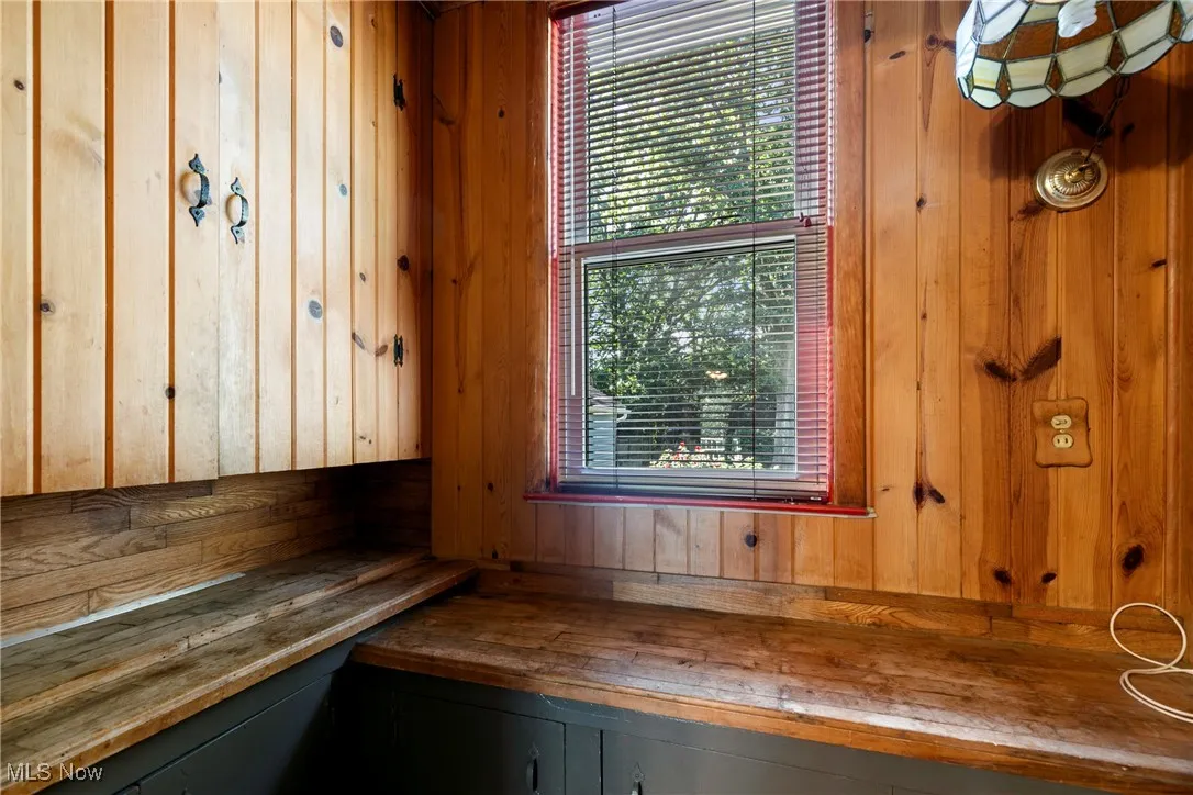 Storage Room off of dining room