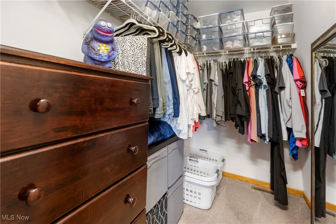 Spacious closet featuring light colored carpet