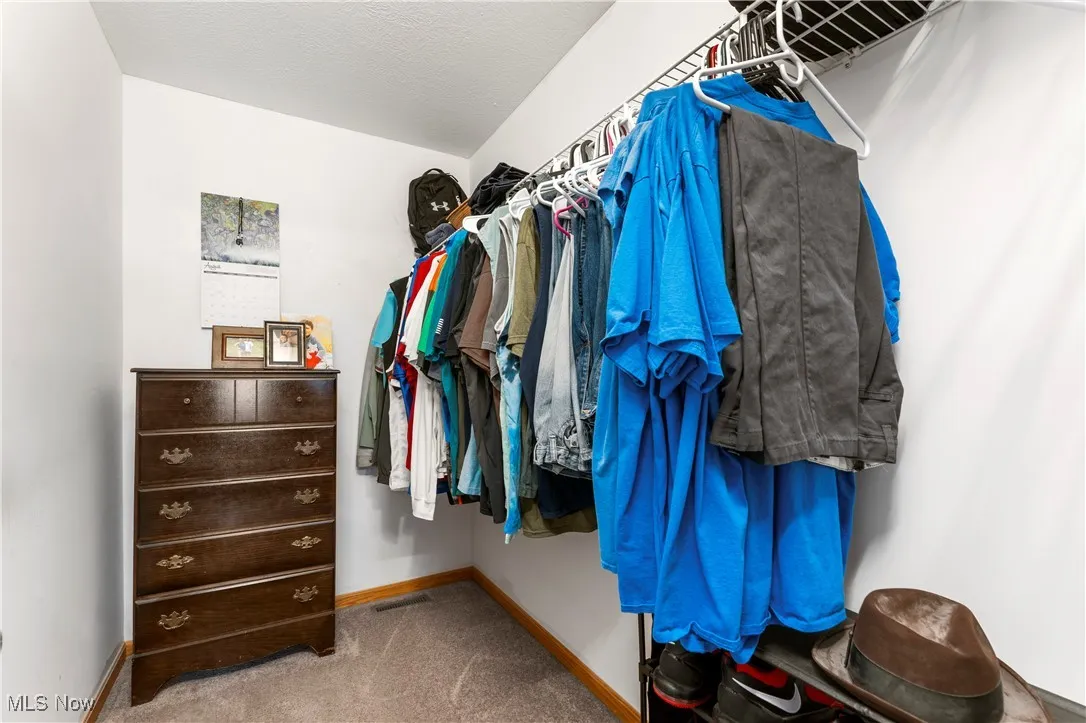 Spacious closet with light carpet