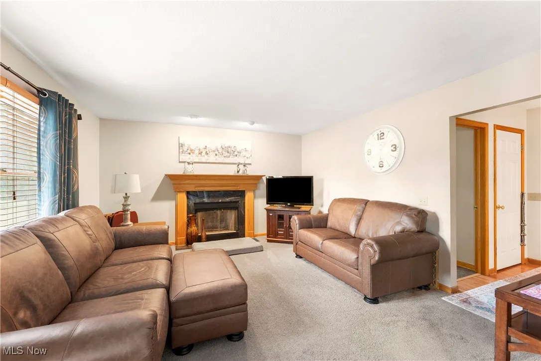 Living room featuring a fireplace and carpet flooring