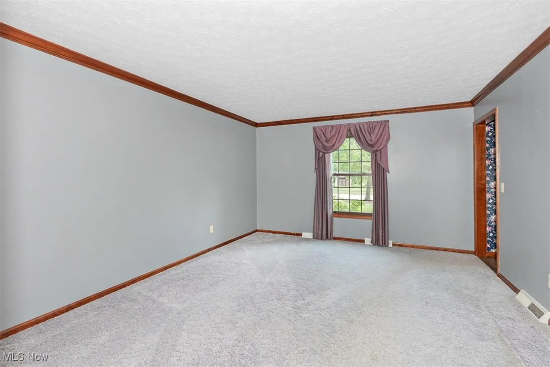 Spare room with carpet, ornamental molding, and a textured ceiling