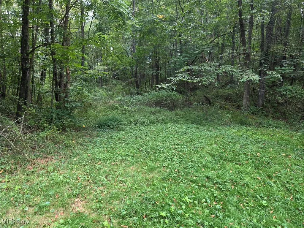 853 Hartwood Road, Dellroy, Ohio 44620,MLS Now Listing ID