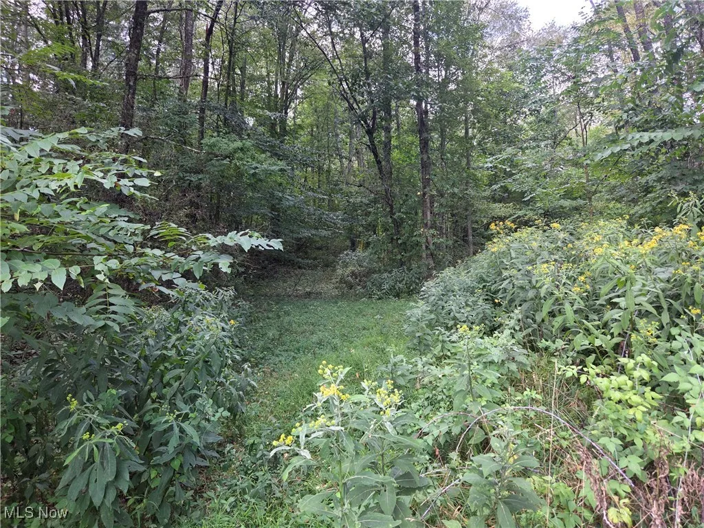 853 Hartwood Road, Dellroy, Ohio 44620,MLS Now Listing ID