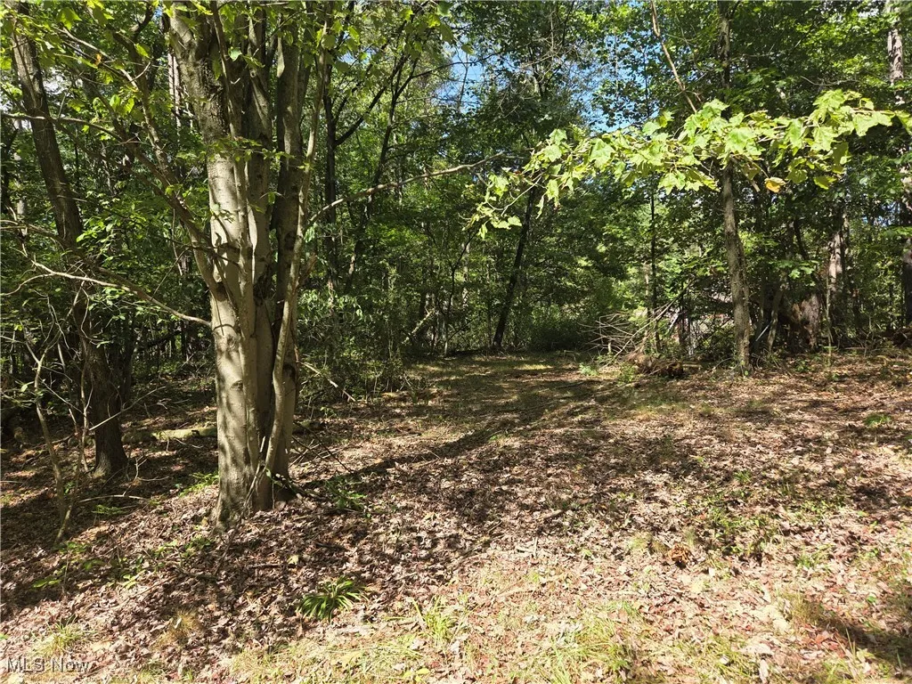 853 Hartwood Road, Dellroy, Ohio 44620,MLS Now Listing ID