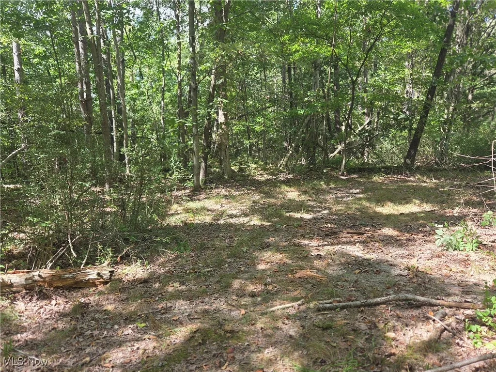 853 Hartwood Road, Dellroy, Ohio 44620,MLS Now Listing ID