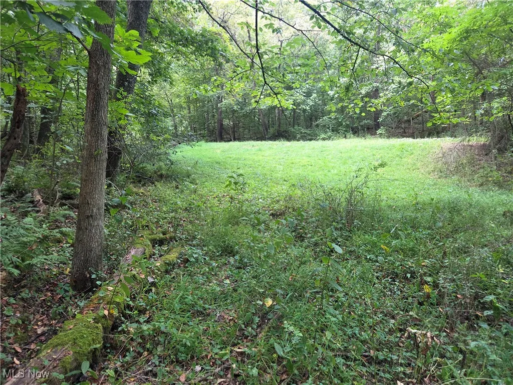 853 Hartwood Road, Dellroy, Ohio 44620,MLS Now Listing ID
