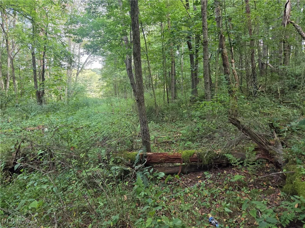 853 Hartwood Road, Dellroy, Ohio 44620,MLS Now Listing ID