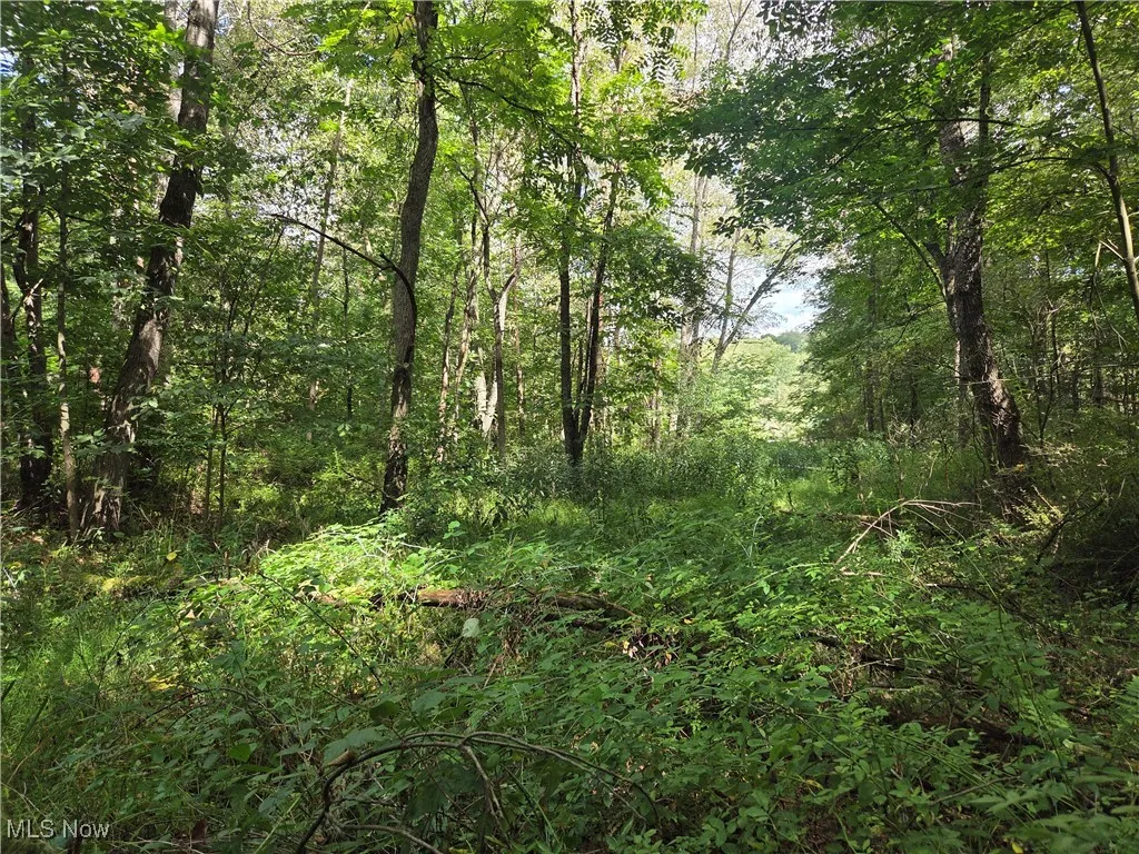 853 Hartwood Road, Dellroy, Ohio 44620,MLS Now Listing ID