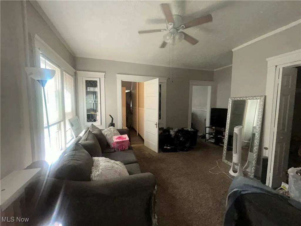 Living room with carpet floors, a ceiling fan, crown molding, and a textured ceiling