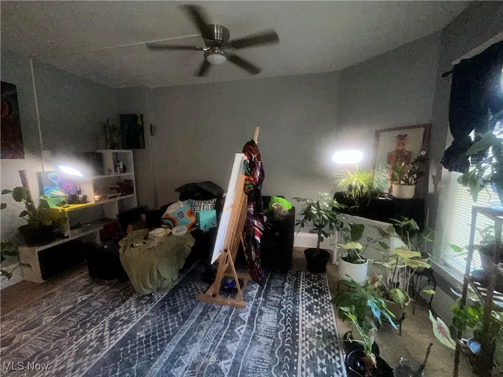 Living area featuring a ceiling fan