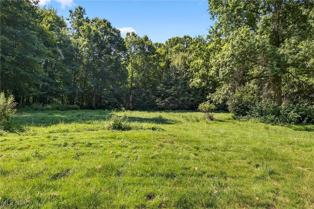 View of yard featuring a forest view