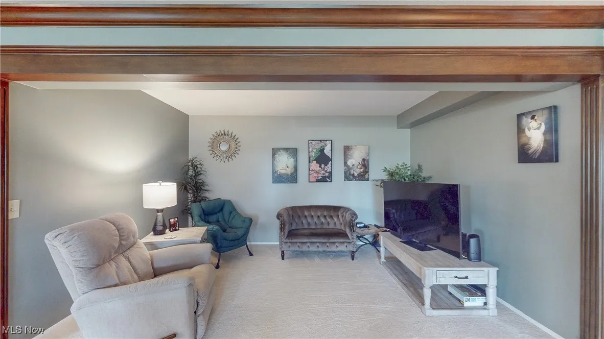 171 Court Drive # 206, Fairlawn, Ohio 44333,MLS Now Listing ID