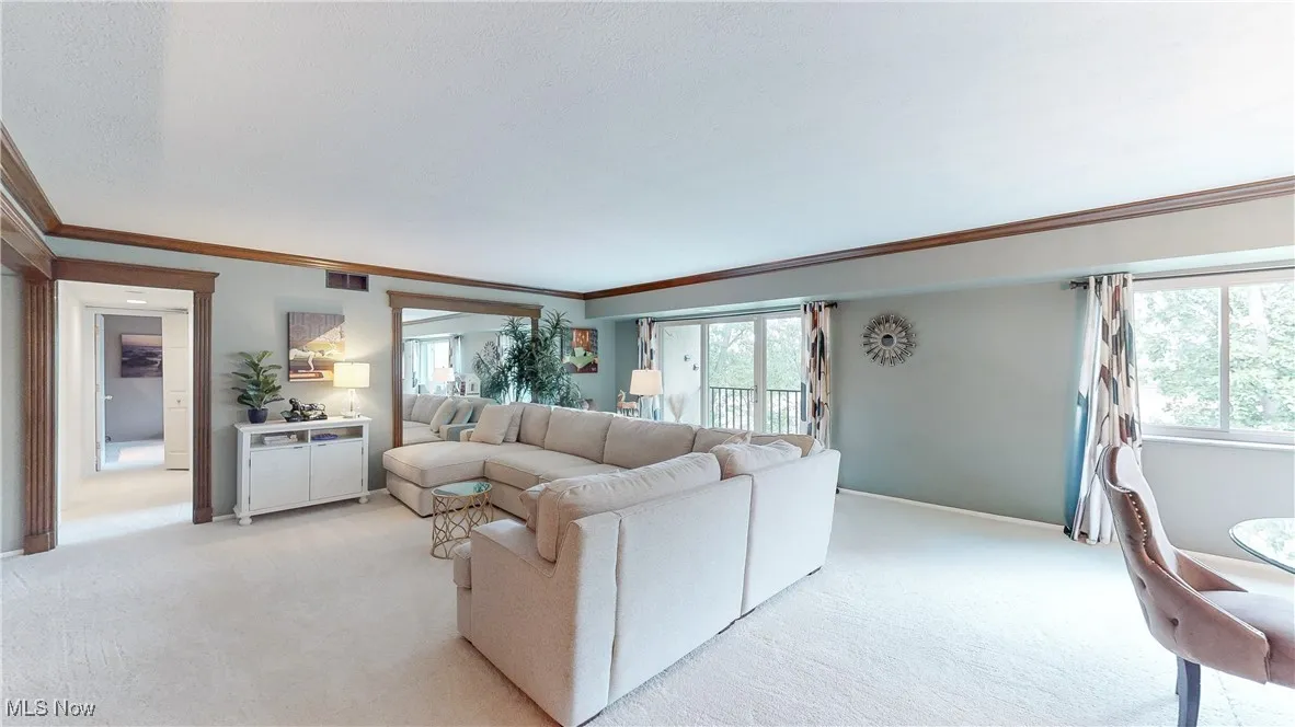 171 Court Drive # 206, Fairlawn, Ohio 44333,MLS Now Listing ID