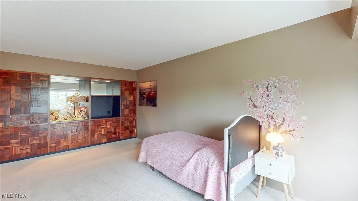 171 Court Drive # 206, Fairlawn, Ohio 44333,MLS Now Listing ID