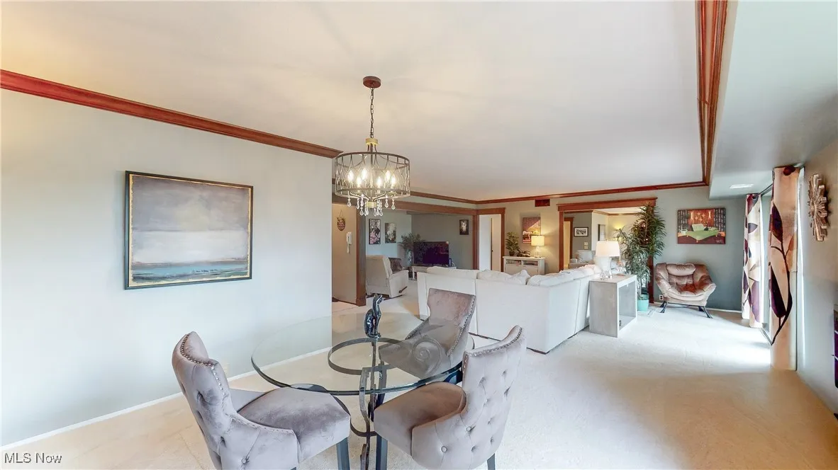 171 Court Drive # 206, Fairlawn, Ohio 44333,MLS Now Listing ID