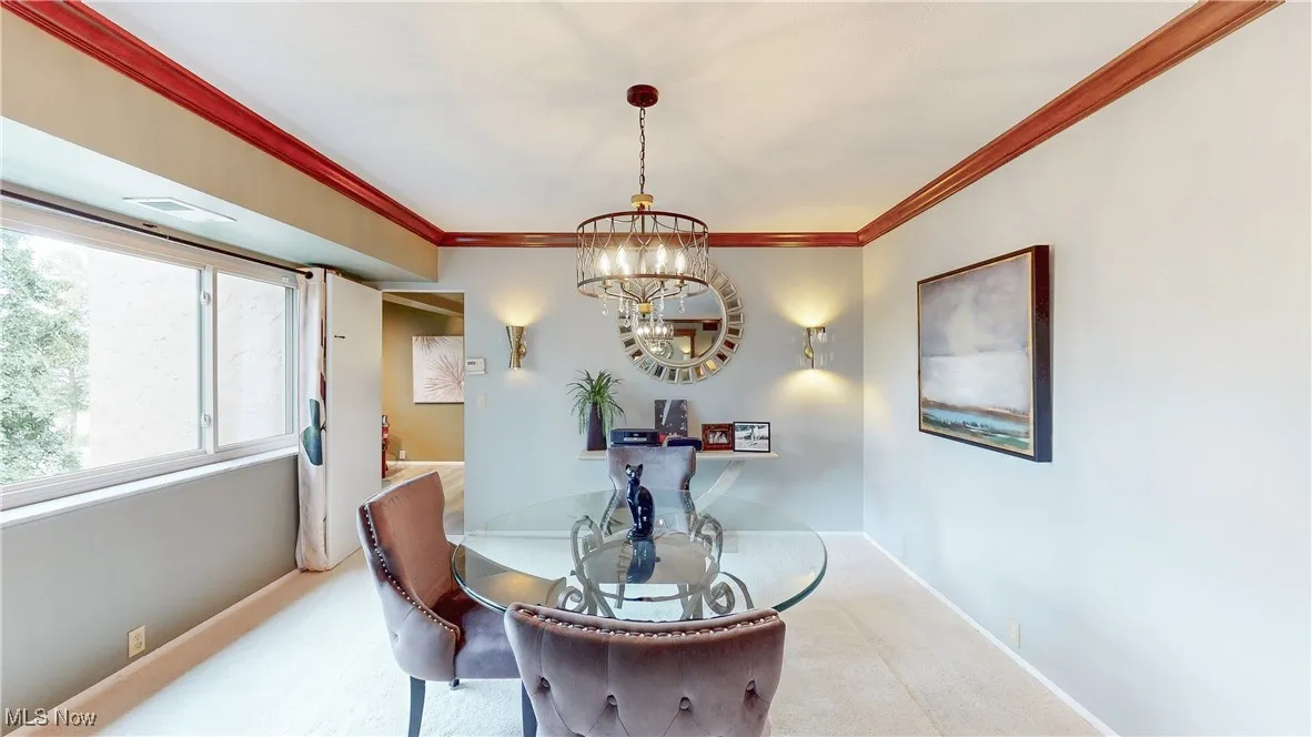 171 Court Drive # 206, Fairlawn, Ohio 44333,MLS Now Listing ID
