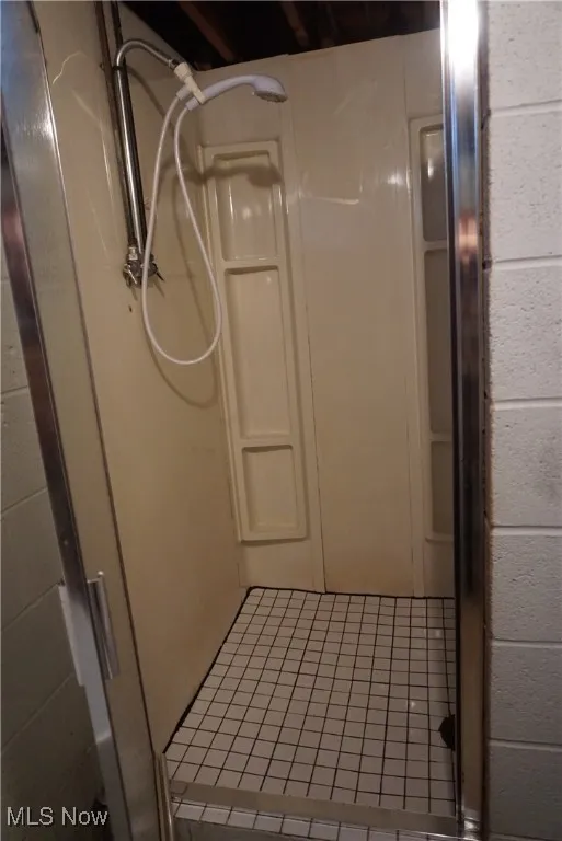 Basement bath step in shower