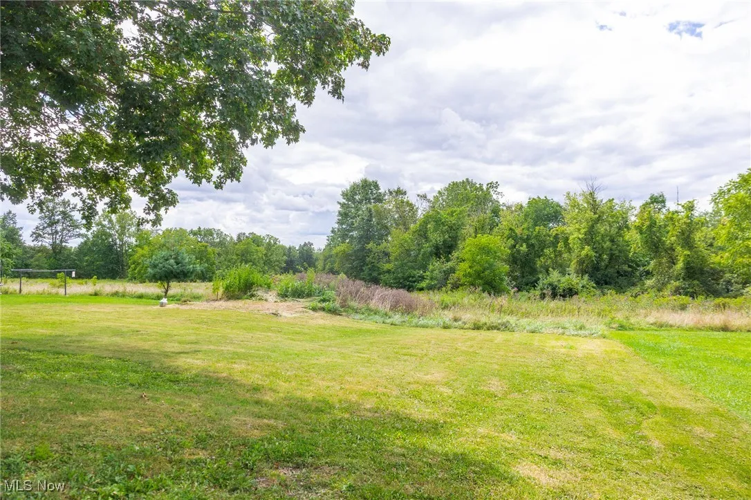 View of green lawn