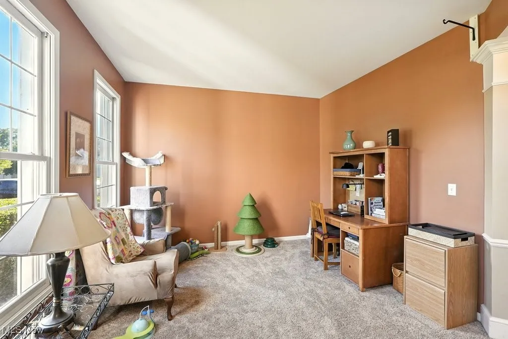 376 Bishop Way, Northfield, Ohio 44067,MLS Now Listing ID