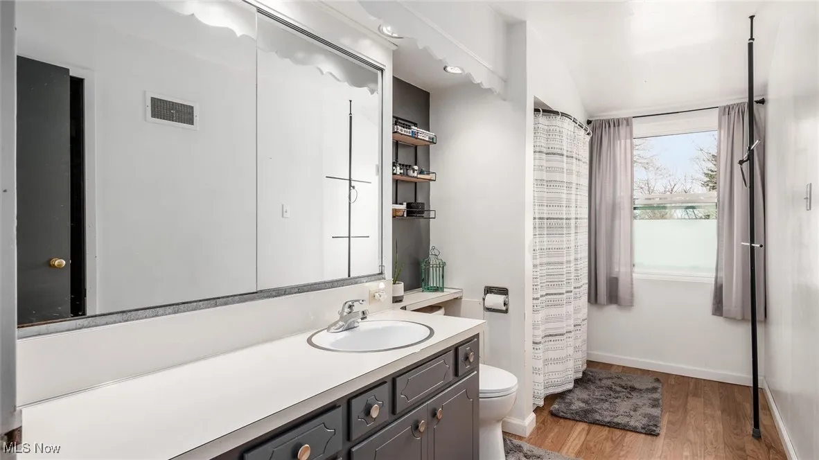 Full bathroom featuring vanity, light wood-style flooring, and a shower with shower curtain
