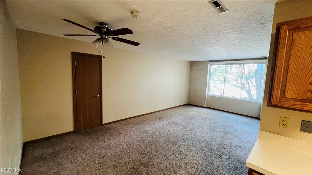 Living Room featuring carpet floors, and a ceiling fan