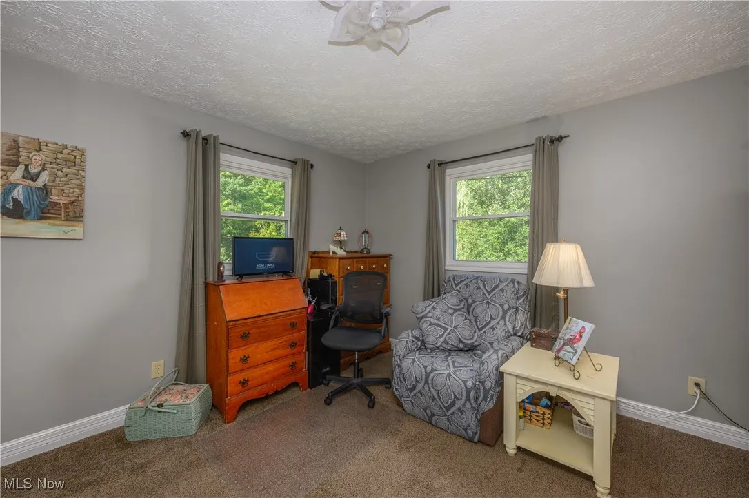Office area with carpet floors and a textured ceiling