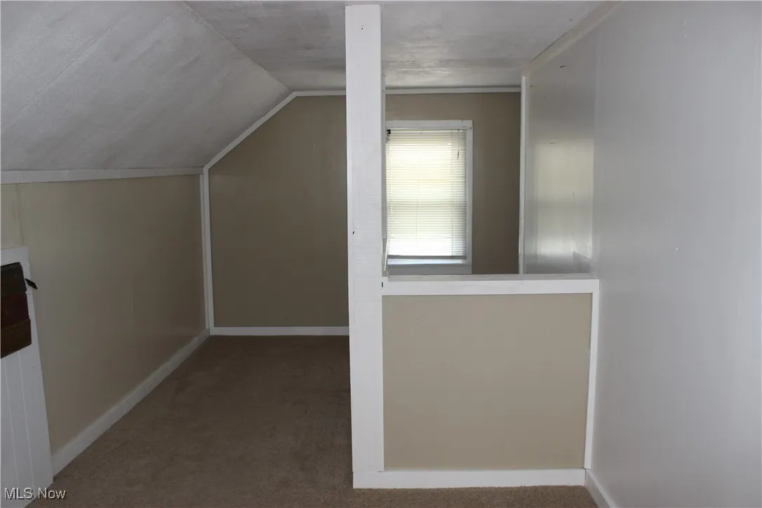 Bonus room with carpet floors and lofted ceiling