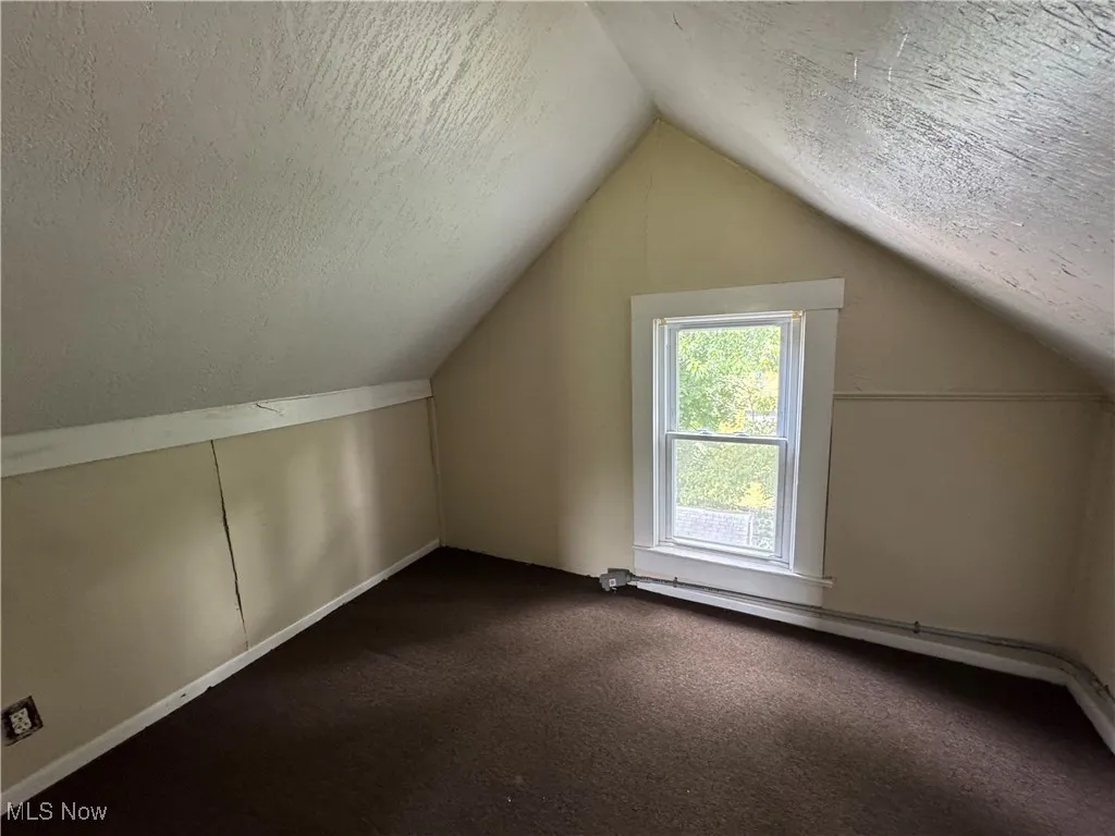 Bonus Room 2 with a textured ceiling, vaulted ceiling, and carpet