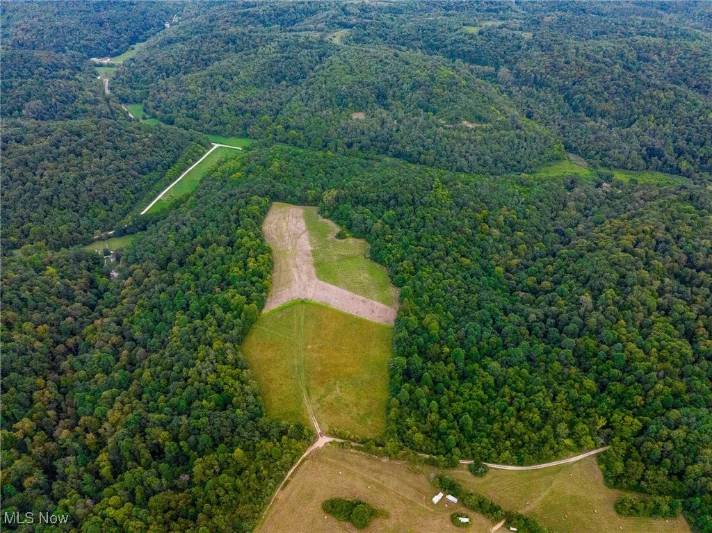 Aerial view of property's location featuring a forest